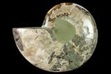 Wide Polished Fossil Ammonite Dish - Inlaid Ammonite #137407-2